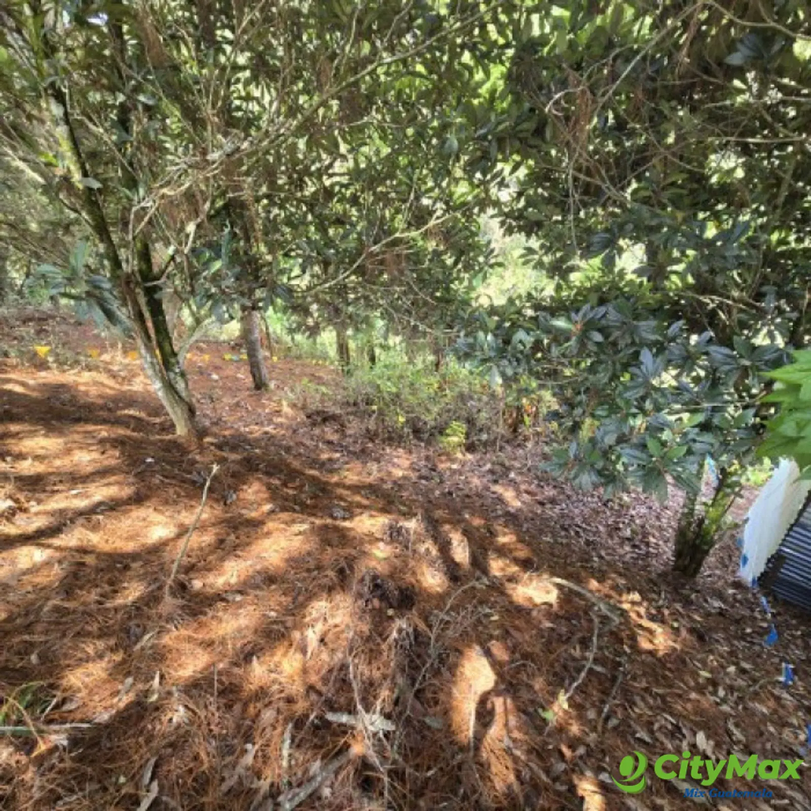 Lote en Venta Carretera a El Salvador Res. San Antonio - foto 7