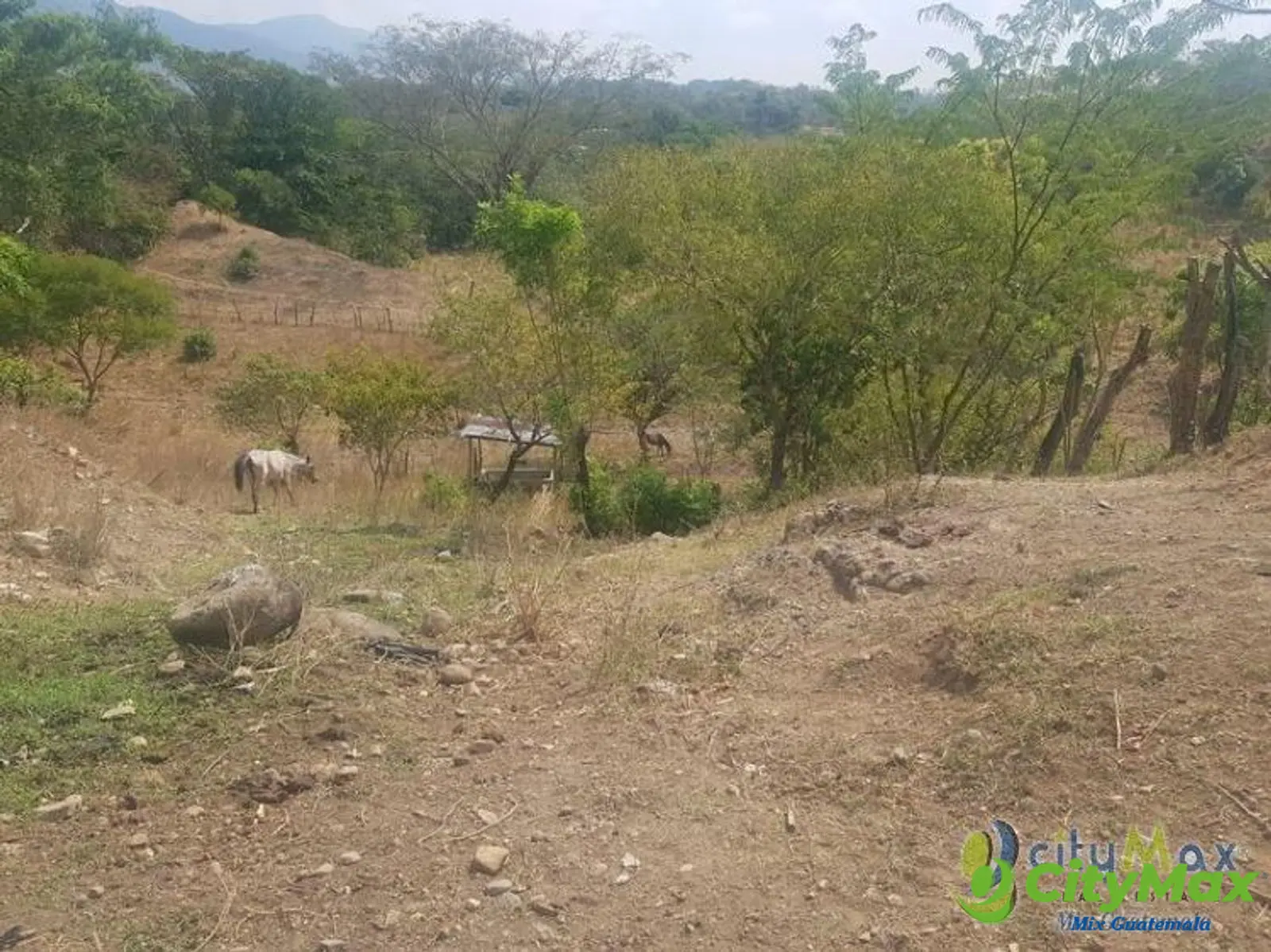 Vendo Finca de 8.8 mazanas en Oratorio, Santa Rosa - foto 5