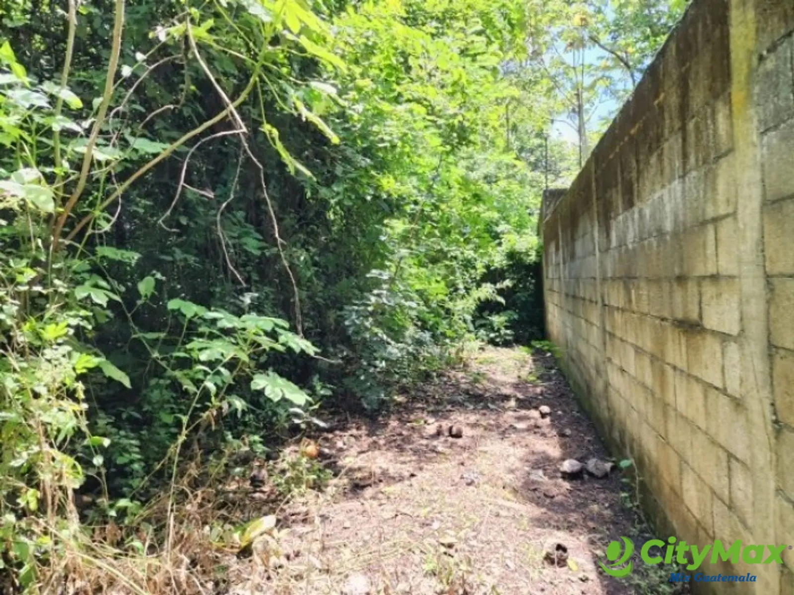 Terreno en Venta Cañadas de Torre Molinos Escuintla - foto 4