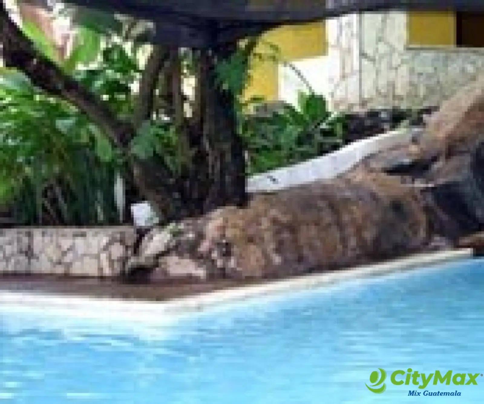 Terreno Grande en Venta Cataratas de Uxmel, Masagua - foto 13