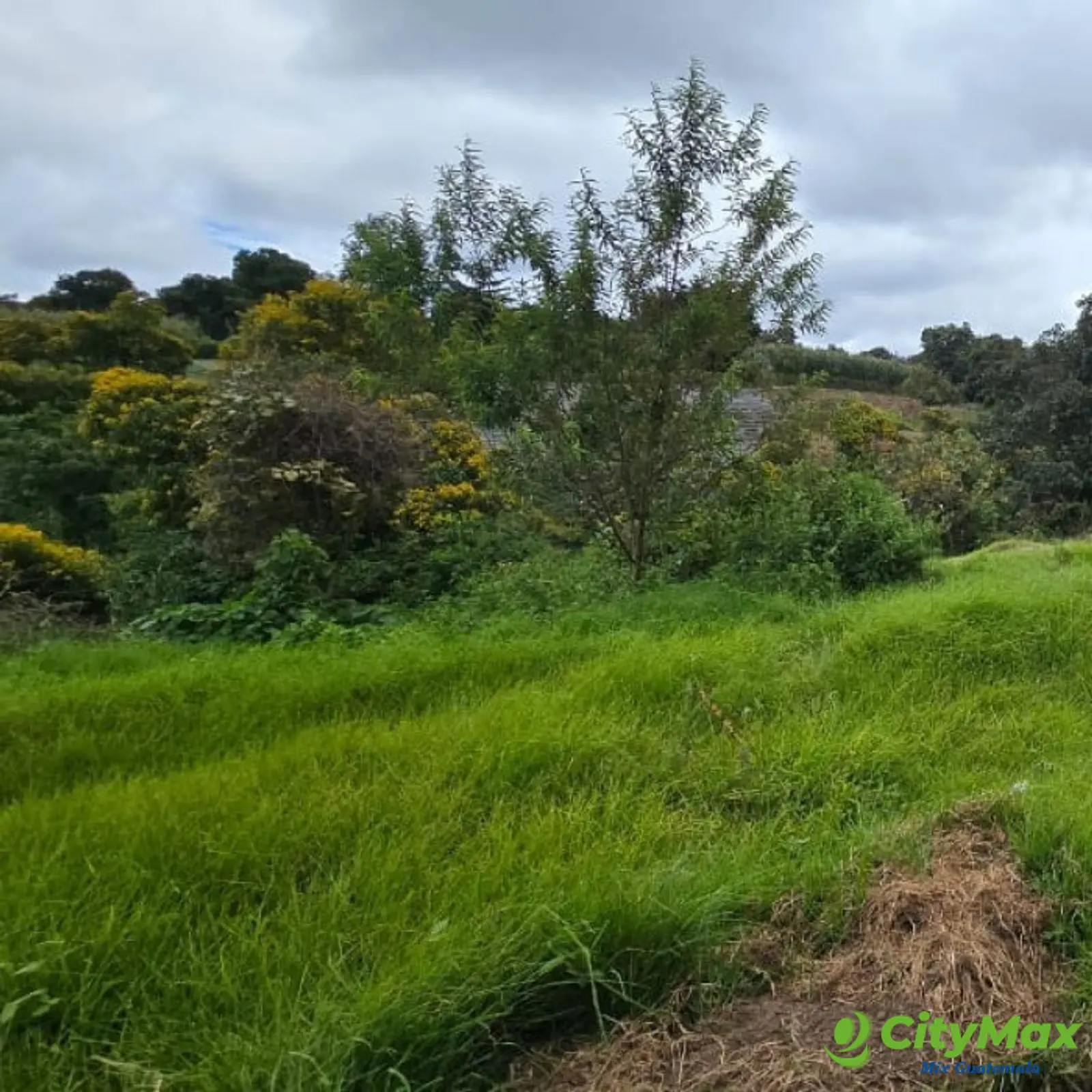 Terreno en Venta Granja Villas Alicia KM 32.9 Santiago - foto 3