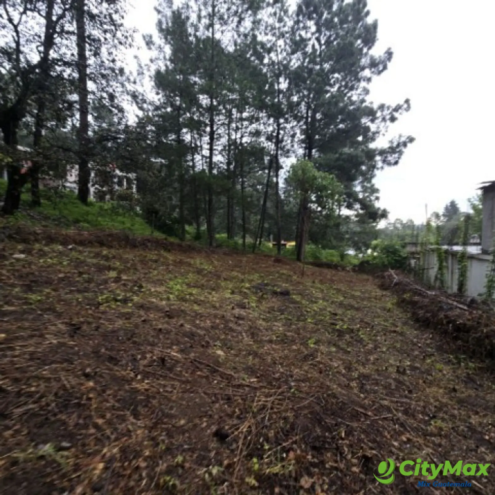 Terreno en Venta Hacienda Manzanales Santa María Cauque - foto 8