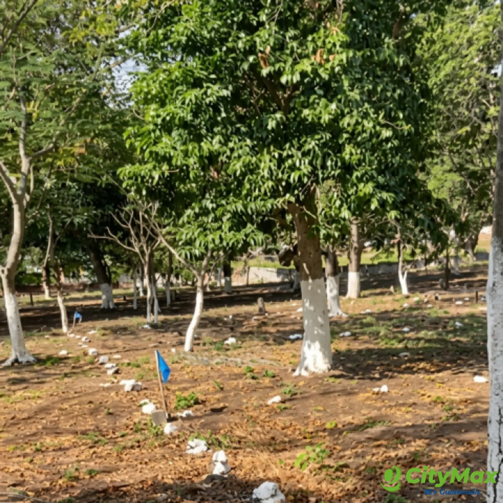 Terreno Residencial en Venta Cuilapa Santa Rosa - foto 2