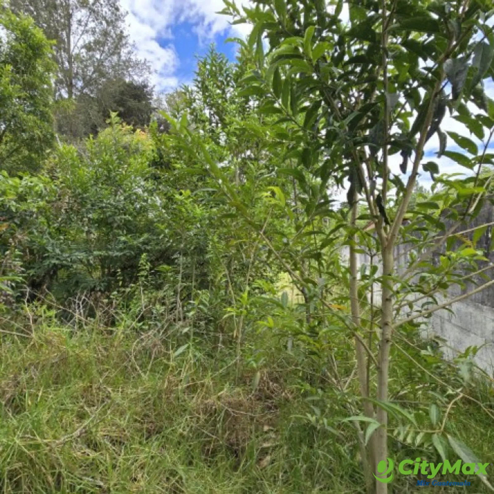Terreno en Venta San Lucas Sacatepéquez 1,500 mts2 - foto 12