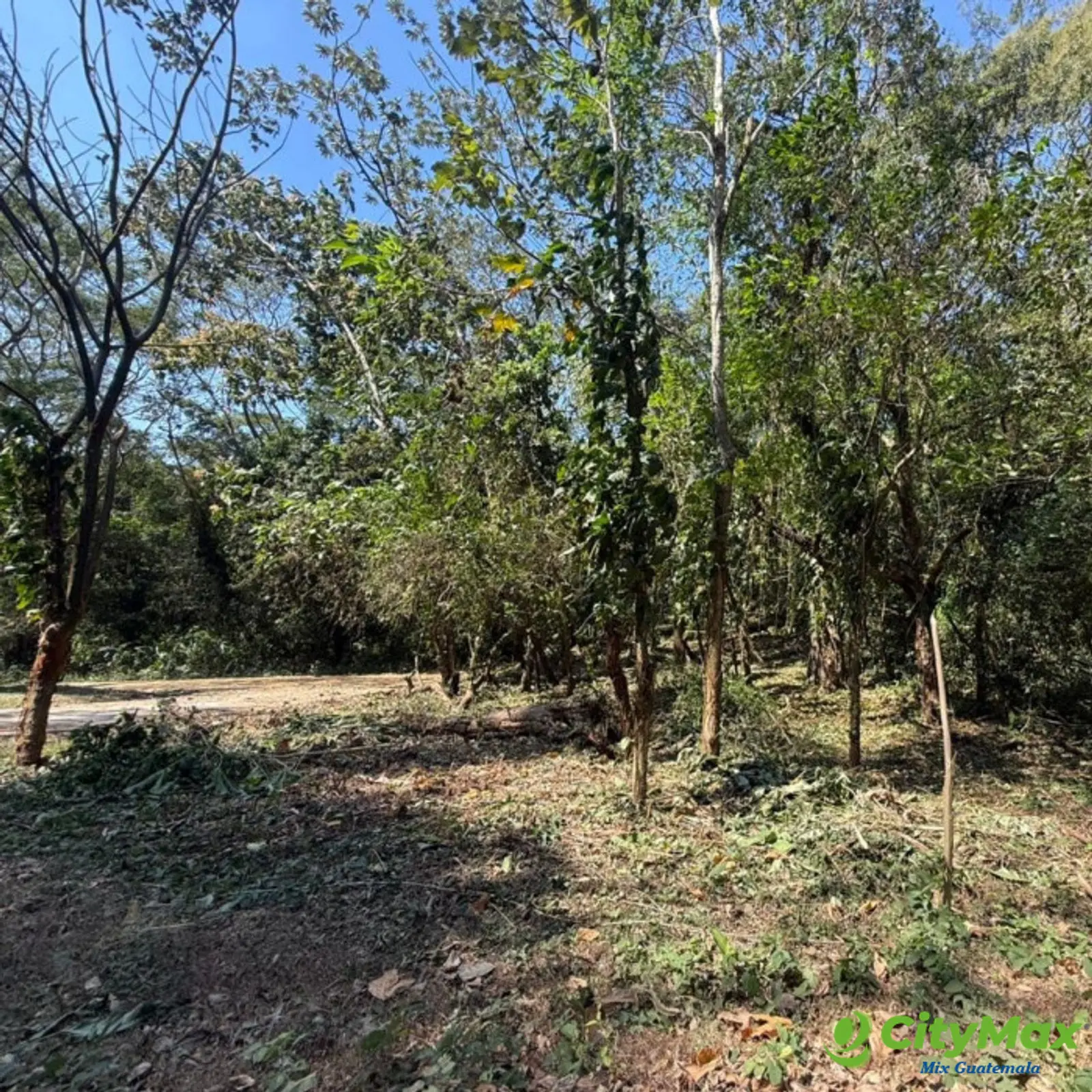 Lote en Venta RioSul, Escuintla, Guatemala - foto 4