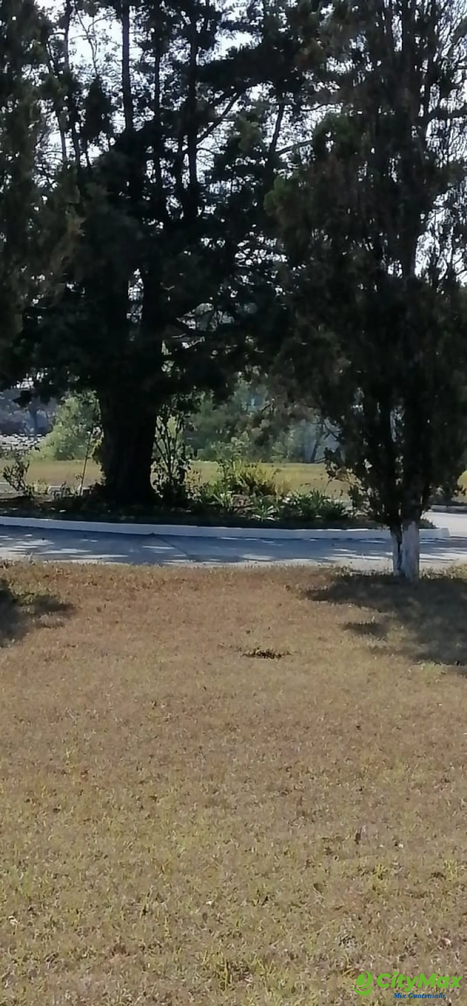 Terreno en Venta de 3 Criptas Cementerio Los Olivos CES - foto 5