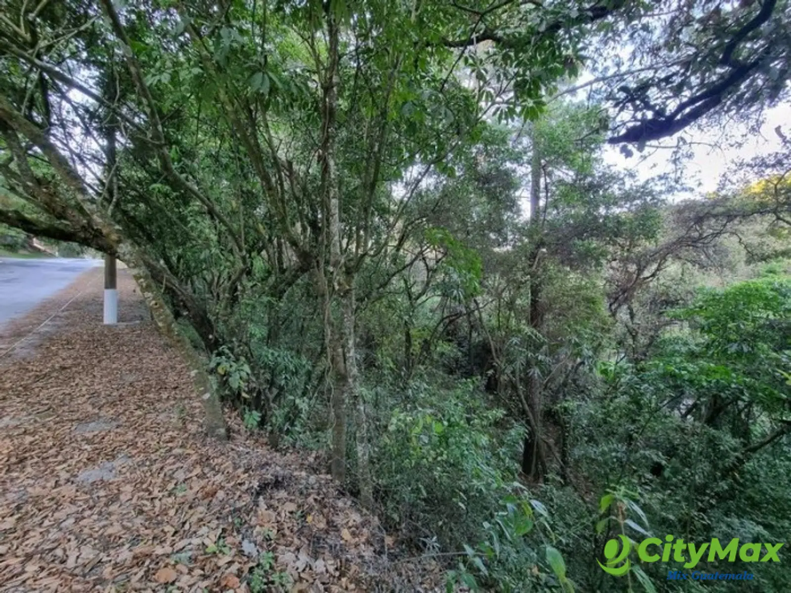 Terreno en Venta en El Encinal, Zona 7 de Mixco - foto 18