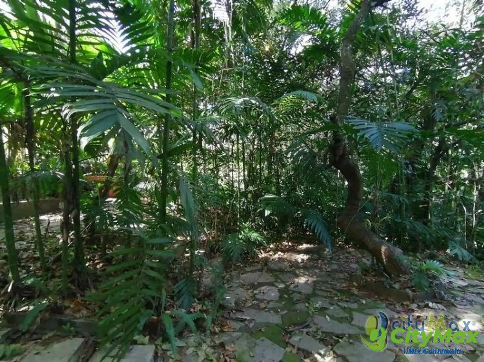 Terreno en Venta Zona 15 Guatemala, uso residencial - foto 5