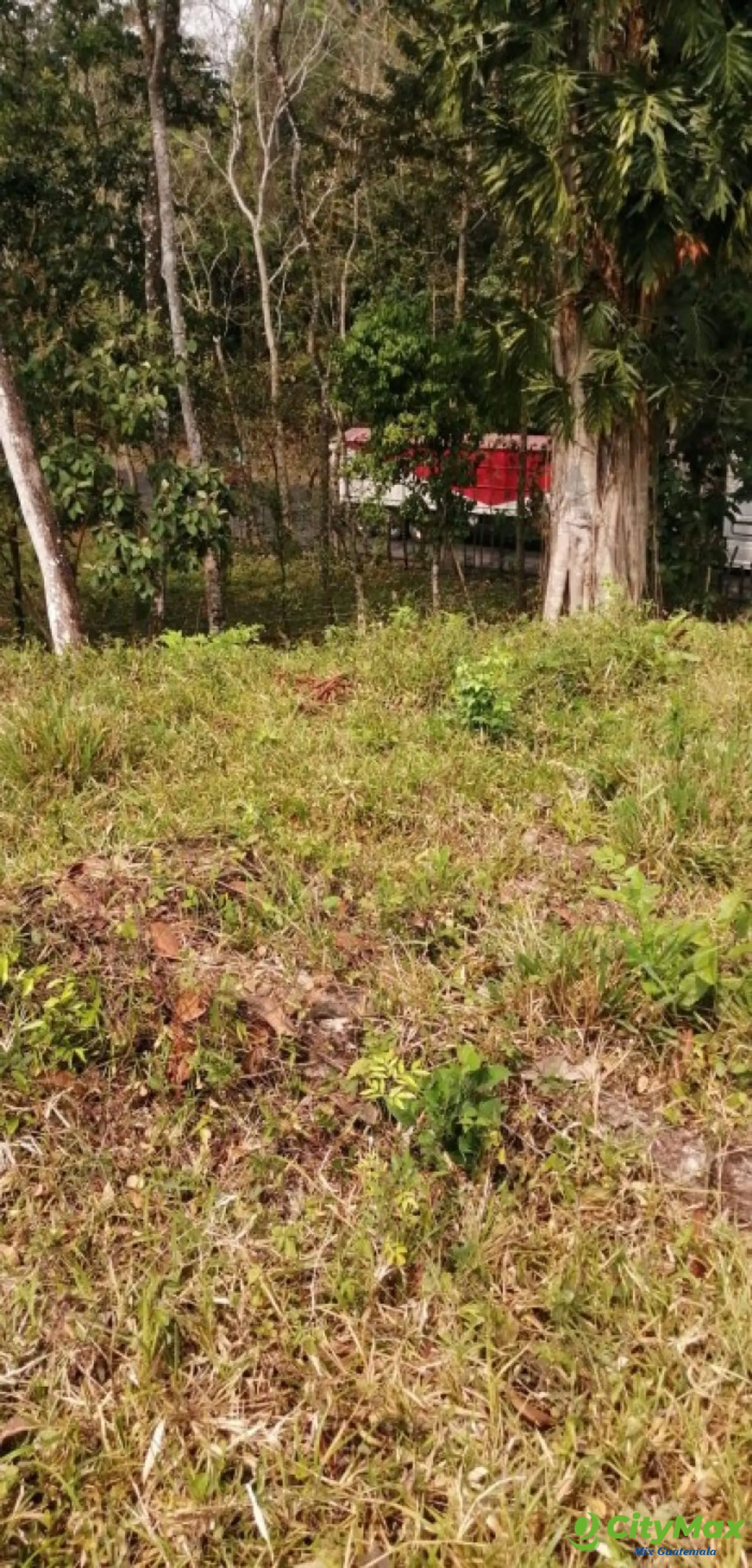 Terreno en Venta Los Amates Izabal, Guatemala - foto 3