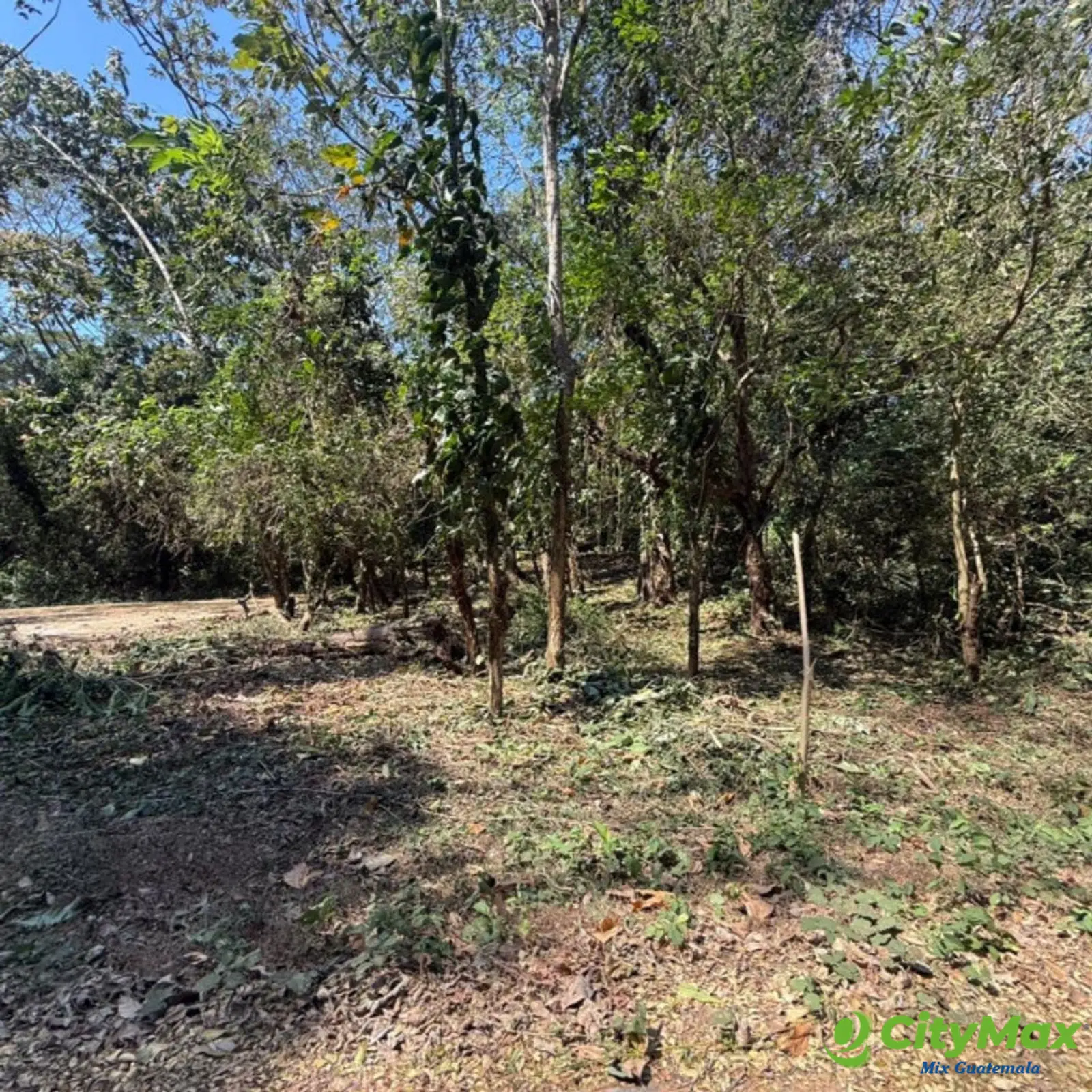 Lote en Venta RioSul, Escuintla, Guatemala - foto 2